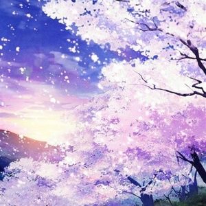 Meet your Posher, Sakura